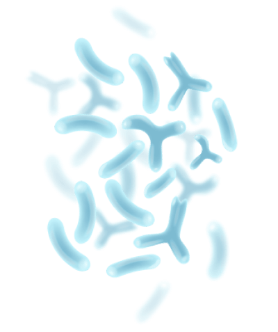 ingredient image