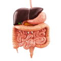 ingredient icon
